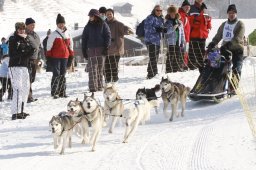 Lenk 2012 SM